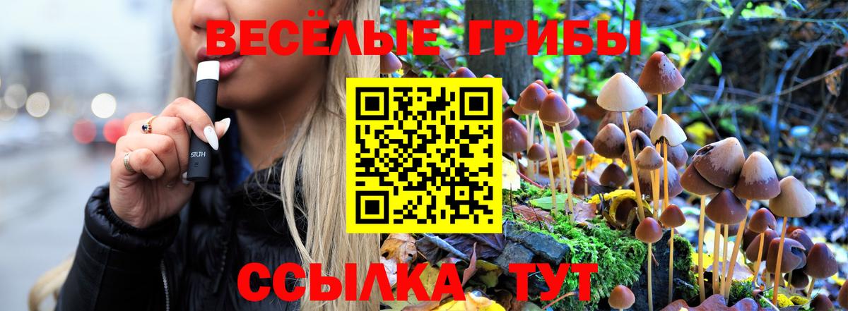 Галлюциногенные грибы Magic Shrooms  Вход с VPN  Трёхгорный  Псилоцибиновые грибы Psilocybine cubensis 